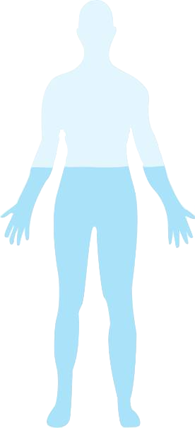 body