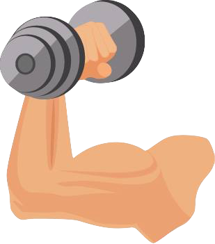 muscle